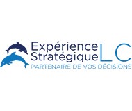 Logo Expérience Stratégique
