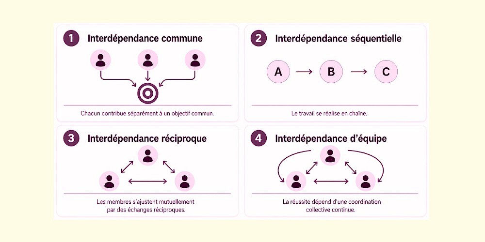 Consolidation et interdépendances en équipe - OAAQ - Bulletin de juin 2026