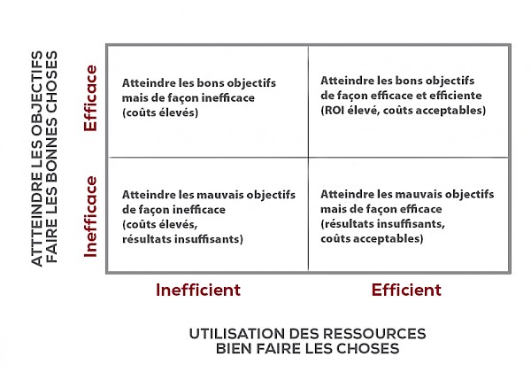 Efficacité et efficience - Schéma en français